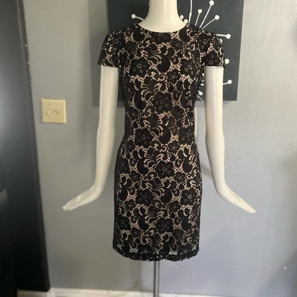 NWT - Ivy & Blu Women's Lace Dress W/ Cap Sleeve Dress 6 - Picture 4 of 8